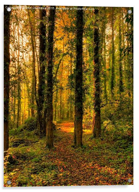   Woodland Path Acrylic by Martin Chambers