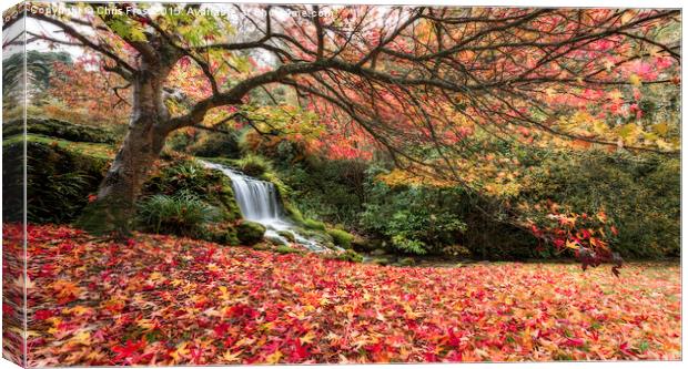  Littlebredy Waterfall Canvas Print by Chris Frost