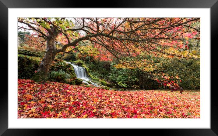  Littlebredy Waterfall Framed Mounted Print by Chris Frost