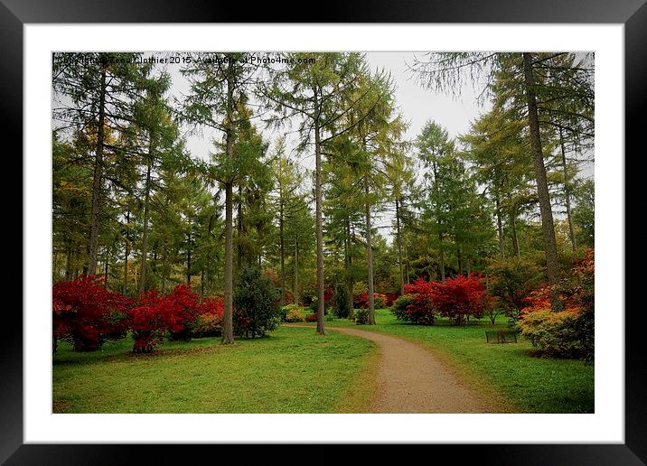 Walk in the Park Framed Mounted Print by Zena Clothier