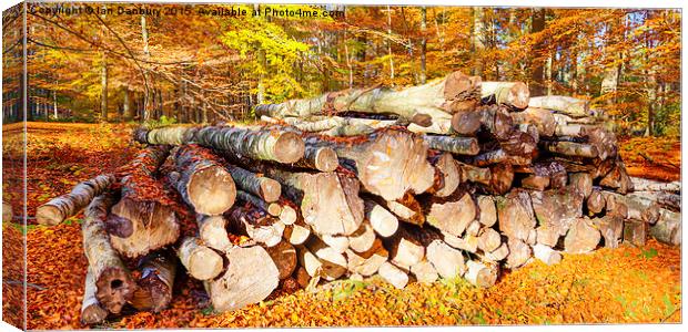  Logs in the Woods Canvas Print by Ian Danbury