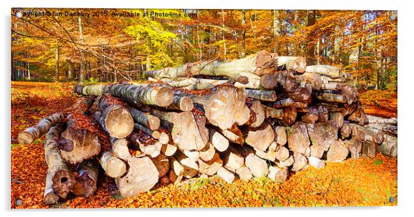  Logs in the Woods Acrylic by Ian Danbury