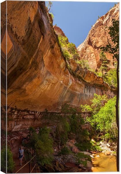 Hike to the Emerald Pool Canvas Print by Thomas Schaeffer