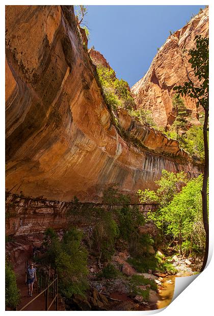Hike to the Emerald Pool Print by Thomas Schaeffer