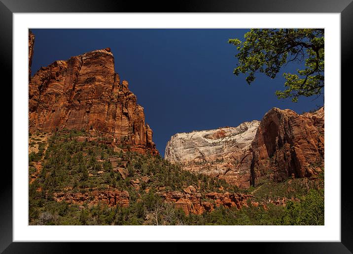 Hike to the Emerald Pool Framed Mounted Print by Thomas Schaeffer