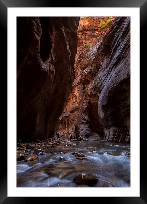 The Narrows, Zion NP Framed Mounted Print by Thomas Schaeffer