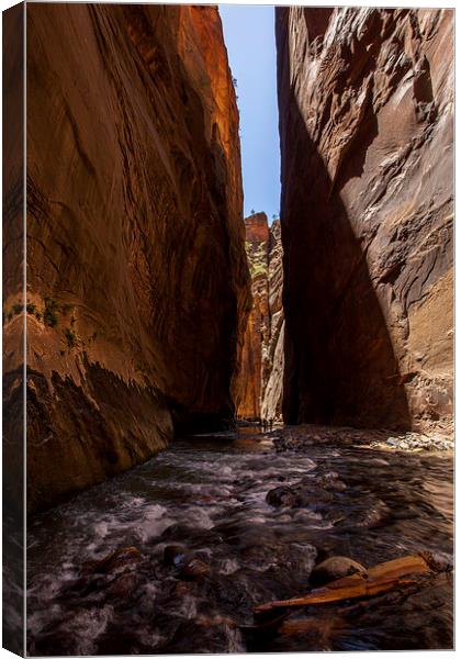 The Narrows, Zion NP Canvas Print by Thomas Schaeffer
