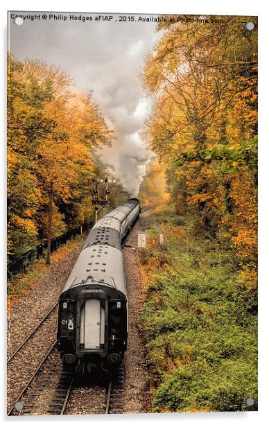  Autumn Steam Acrylic by Philip Hodges aFIAP ,