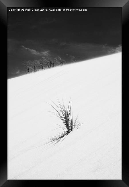  Sand dune and grass, New Zealand Framed Print by Phil Crean