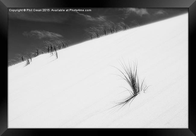  Sand dune and grass II Framed Print by Phil Crean