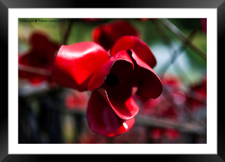  We Will Remember Them Framed Mounted Print by Trevor Camp