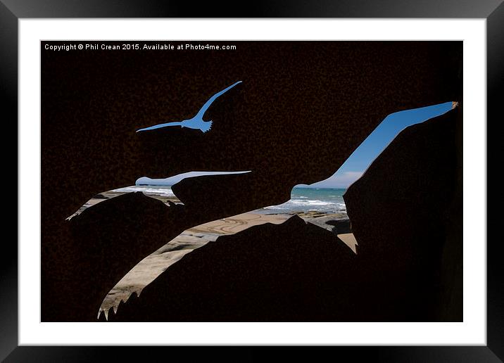 Gannet  reverse silhouette cut out, Cape Kidnapper Framed Mounted Print by Phil Crean