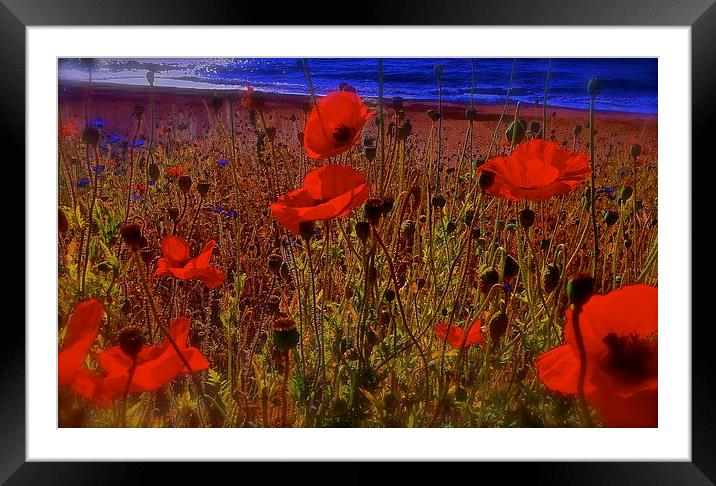  We will not forget them Framed Mounted Print by Sue Bottomley