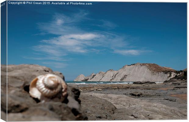 Cliffs and shell, Cape Kidnappers, New Zealand Canvas Print by Phil Crean