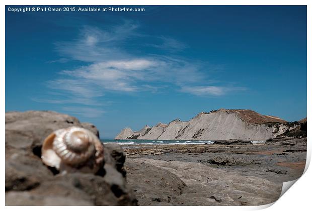 Cliffs and shell, Cape Kidnappers, New Zealand Print by Phil Crean