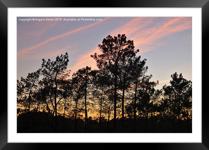 Twilight Tree Silhouettes Framed Mounted Print by Angelo DeVal