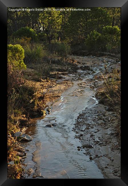 After the Storm  Framed Print by Angelo DeVal