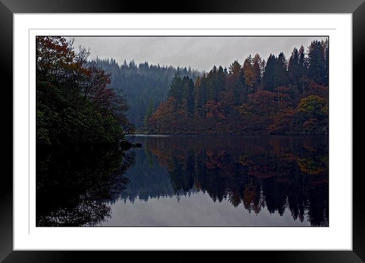  misty reflections Framed Mounted Print by jane dickie