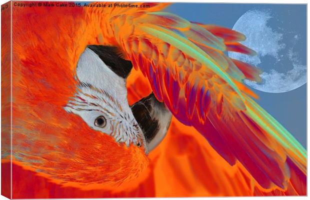  Sunset macaw Canvas Print by Mark Cake