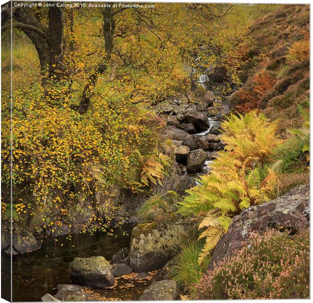  Honister Fall, Lake District Canvas Print by John Ealing