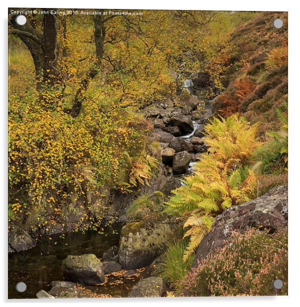  Honister Fall, Lake District Acrylic by John Ealing