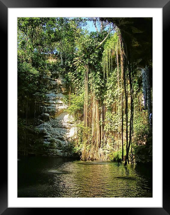  Cenote Framed Mounted Print by Paul Williams