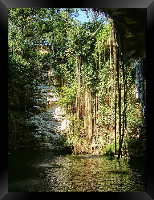  Cenote Framed Print by Paul Williams