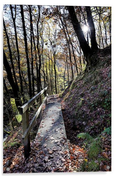  Brecon footpath Acrylic by Tony Bates