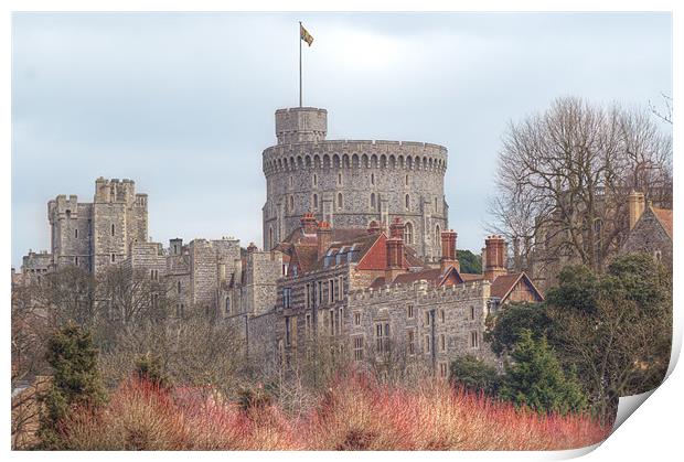 Windsor Castle Print by Chris Day