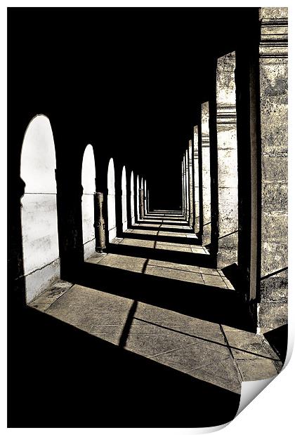 Light and Dark Print by Jim kernan