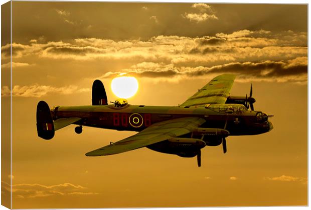  Sunset Sortie Canvas Print by Stephen Ward