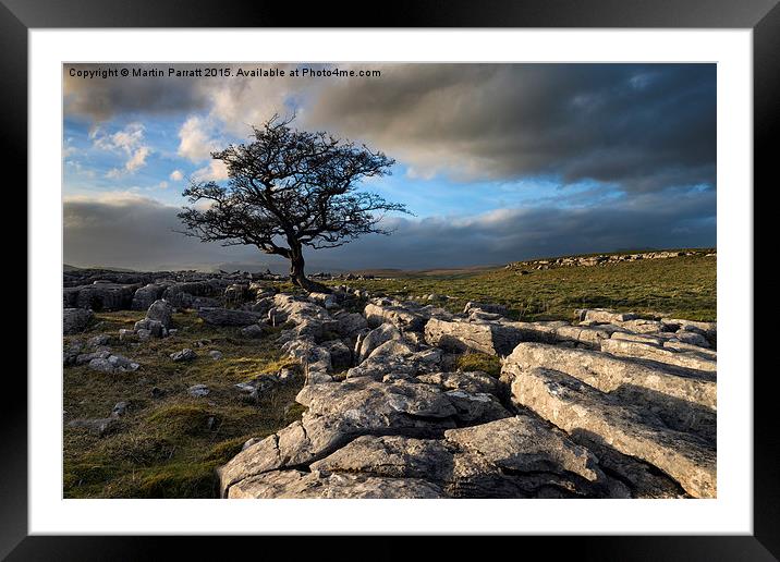  Tree in Limestone Pavement Framed Mounted Print by Martin Parratt