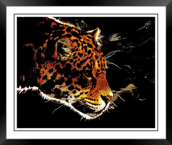 Jaguar Framed Mounted Print by dave mcnaught