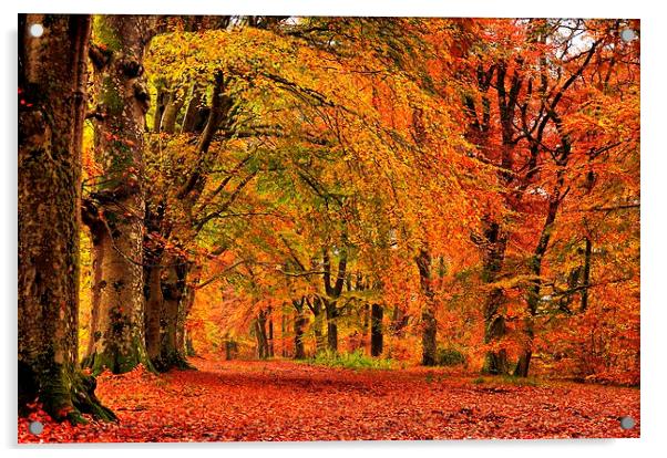  Autumn Walk Acrylic by Mark Pritchard
