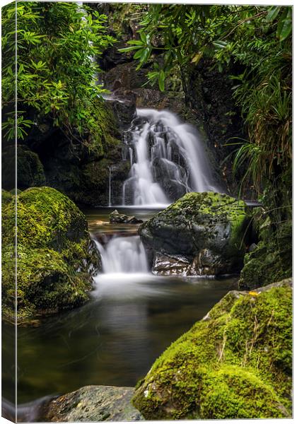  Waterfall Ireland Tollymore Forest  Canvas Print by Chris Curry