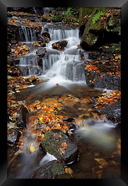 Lumsdale Waterfalls with Autumn Leaves  Framed Print by Darren Galpin