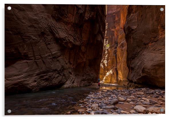 The Narrows, Zion NP Acrylic by Thomas Schaeffer