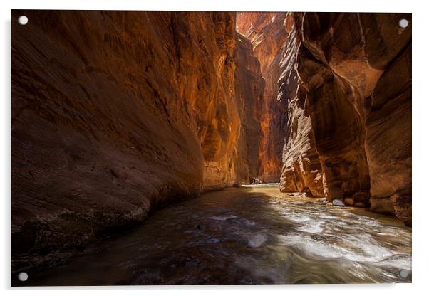 The Narrows, Zion NP Acrylic by Thomas Schaeffer