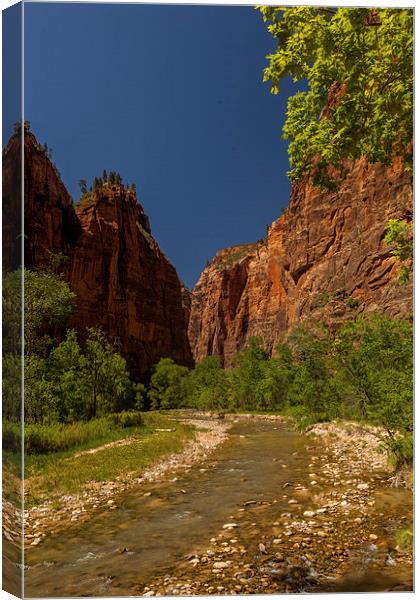 The Narrows, Zion NP Canvas Print by Thomas Schaeffer