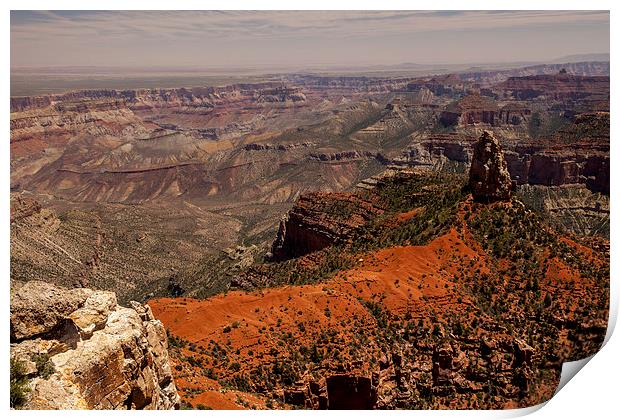 North Rim @ Imperial Point Print by Thomas Schaeffer