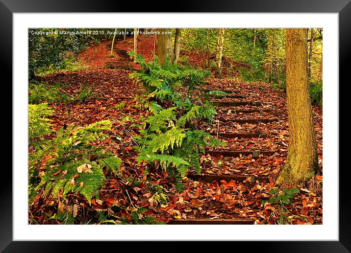 Path Through a Durham Beech Wood Framed Mounted Print by Martyn Arnold