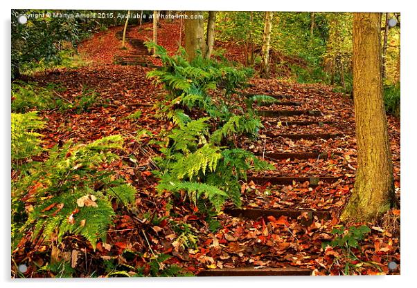 Path Through a Durham Beech Wood Acrylic by Martyn Arnold