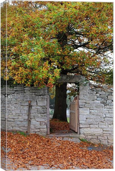  hay on wye oak tree Canvas Print by Tony Bates