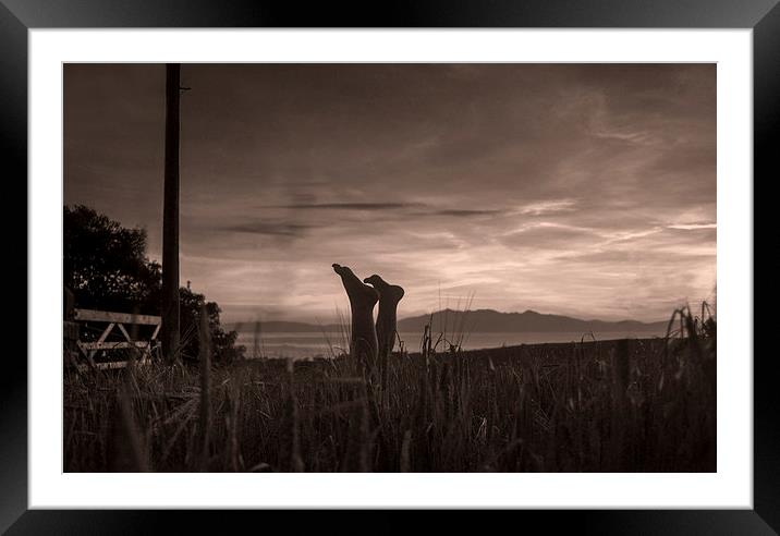  Harvest Handstand Framed Mounted Print by mary stevenson