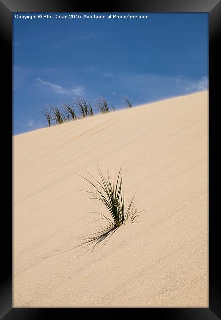  Sand dunes and grasses, New zealand Framed Print by Phil Crean