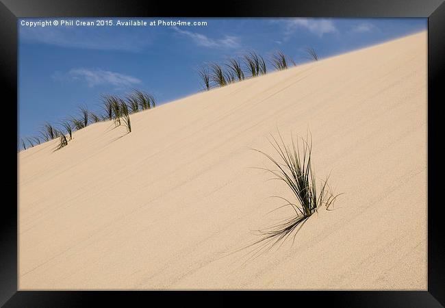  Sand dunes & reeds II New Zealand Framed Print by Phil Crean