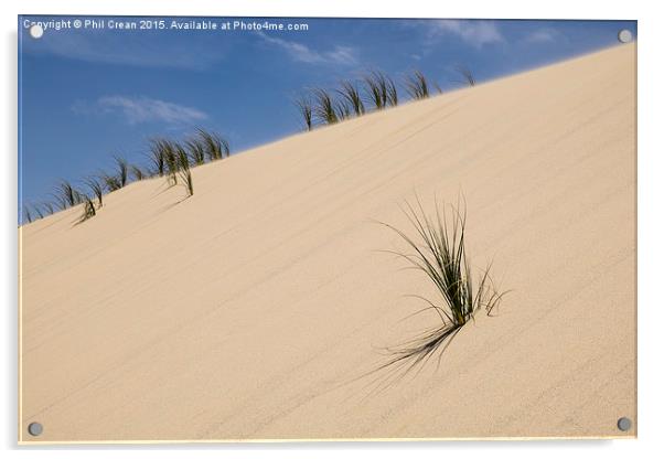  Sand dunes & reeds II New Zealand Acrylic by Phil Crean