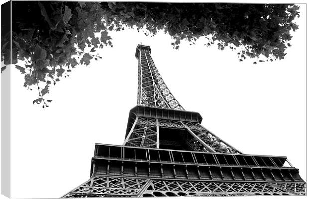   Eiffel Tower  Canvas Print by David Chennell