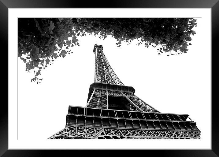   Eiffel Tower  Framed Mounted Print by David Chennell
