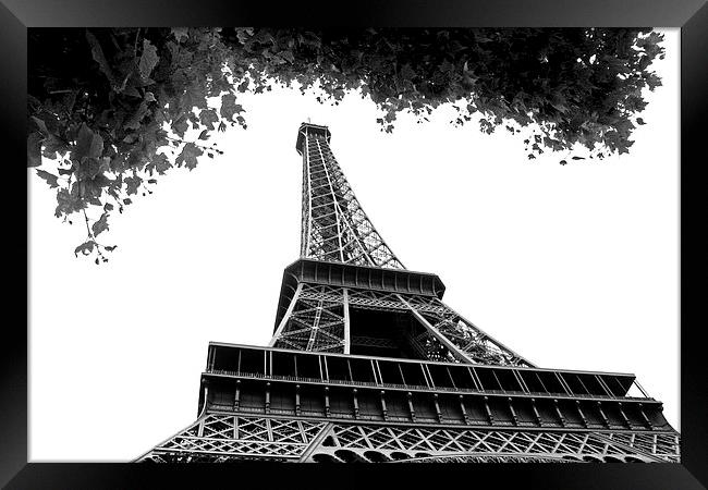   Eiffel Tower  Framed Print by David Chennell